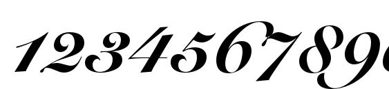 SnellRoundhandLTStd BlkScr Font, Number Fonts