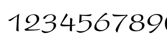 Snippet Script SSi Font, Number Fonts