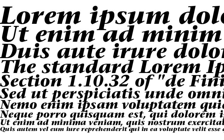 specimens Sonetserif bold italic font, sample Sonetserif bold italic font, an example of writing Sonetserif bold italic font, review Sonetserif bold italic font, preview Sonetserif bold italic font, Sonetserif bold italic font