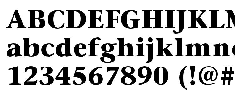 глифы шрифта Sonetserif bold, символы шрифта Sonetserif bold, символьная карта шрифта Sonetserif bold, предварительный просмотр шрифта Sonetserif bold, алфавит шрифта Sonetserif bold, шрифт Sonetserif bold