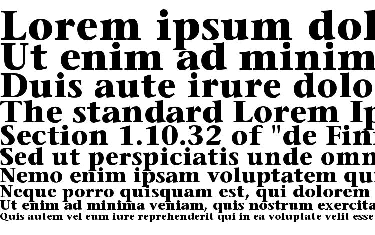 specimens Sonetserif bold font, sample Sonetserif bold font, an example of writing Sonetserif bold font, review Sonetserif bold font, preview Sonetserif bold font, Sonetserif bold font