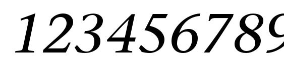 Sonetserif italic Font, Number Fonts