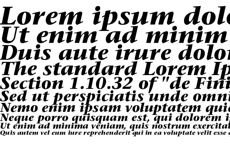 specimens Sonetserifc bolditalic font, sample Sonetserifc bolditalic font, an example of writing Sonetserifc bolditalic font, review Sonetserifc bolditalic font, preview Sonetserifc bolditalic font, Sonetserifc bolditalic font