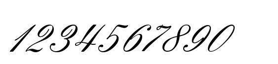 Шрифт Sorrento Script ES, Шрифты для цифр и чисел