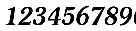 Soutane Bold Italic Font, Number Fonts