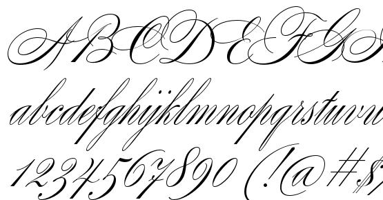 Splendid Script Font Download Free / LegionFonts