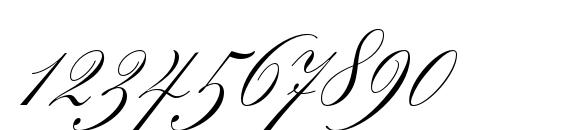 Splendid Script Font, Number Fonts