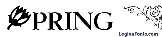 шрифт Spring Flower Dingbats, бесплатный шрифт Spring Flower Dingbats, предварительный просмотр шрифта Spring Flower Dingbats