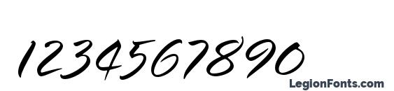 SpringLPStd Light Font, Number Fonts