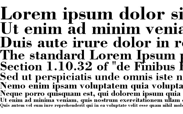 specimens ST Bodoni Bold font, sample ST Bodoni Bold font, an example of writing ST Bodoni Bold font, review ST Bodoni Bold font, preview ST Bodoni Bold font, ST Bodoni Bold font