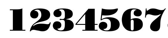 Stand12 Font, Number Fonts