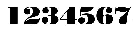 StandardPosterCTT Font, Number Fonts