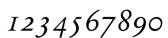 Stempel Garamond Italic Oldstyle Figures Font, Number Fonts