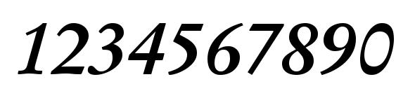 Stempel Garamond LT Bold Italic Font, Number Fonts