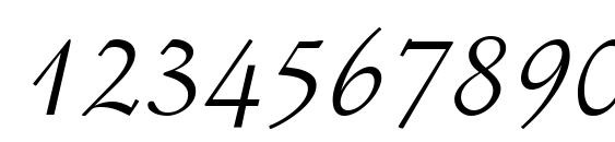 Stempel Schneidler LT Italic Font, Number Fonts