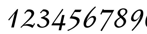 Stempel Schneidler LT Medium Italic Font, Number Fonts