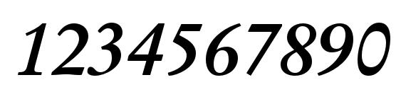 StempelGaramondLTStd BoldIt Font, Number Fonts