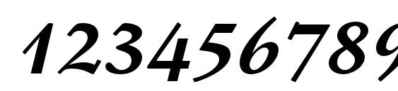 StempelSchneidlerStd BdIt Font, Number Fonts