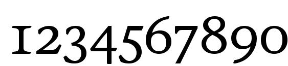 Stone Inf OS ITC TT Medium Font, Number Fonts
