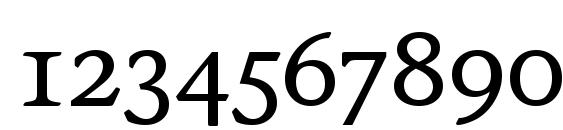 Stone Inf SC ITC TT Medium Font, Number Fonts