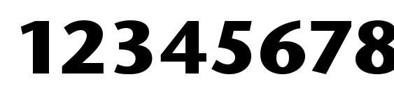 Stone Sans ITC Bold Font, Number Fonts