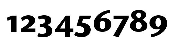 Stone Sans OS ITC TT Bold Font, Number Fonts