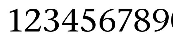 Stone Serif ITC Medium Font, Number Fonts