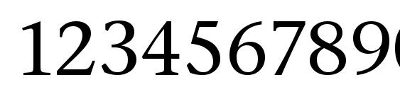 Stone Serif ITC TT Medium Font, Number Fonts