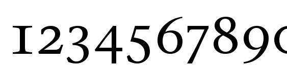 Stone Serif OS ITC TT Medium Font, Number Fonts