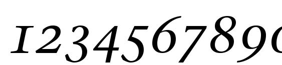 Stone Serif OS ITC TT MediumIta Font, Number Fonts