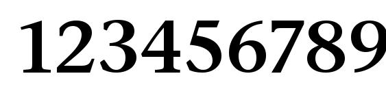 Stone Serif Sem ITC TT Semi Font, Number Fonts