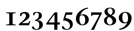 Stone Serif Sem SC ITC TT Semi Font, Number Fonts