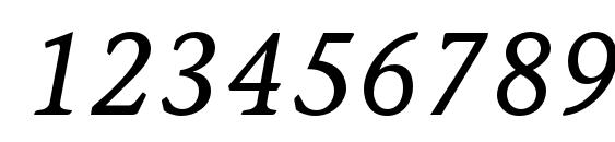 StoneInformalStd MediumItal Font, Number Fonts