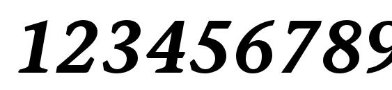 StoneInformalStd SemiboldIt Font, Number Fonts