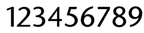 StoneSans Font, Number Fonts