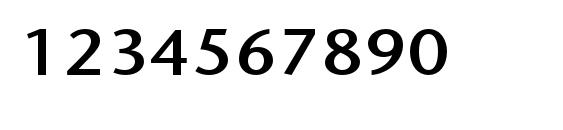 StoneSansStd Phonetic Font, Number Fonts