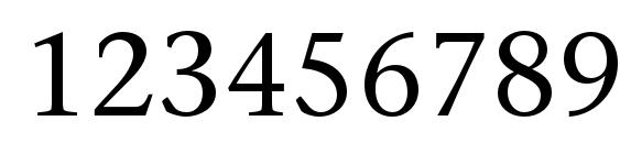 StoneSerifStd Medium Font, Number Fonts