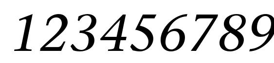 StoneSerifStd MediumItalic Font, Number Fonts