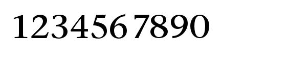 StoneSerifStd Phonetic Font, Number Fonts