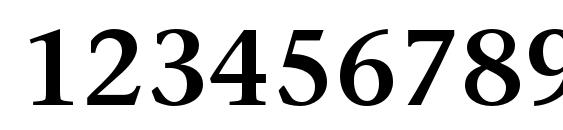 StoneSerifStd Semibold Font, Number Fonts