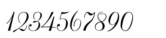 Stradivari script Font, Number Fonts