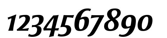 Strayhorn MT OsF Bold Italic Font, Number Fonts