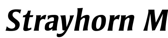 шрифт Strayhorn MT OsF Bold Italic, бесплатный шрифт Strayhorn MT OsF Bold Italic, предварительный просмотр шрифта Strayhorn MT OsF Bold Italic