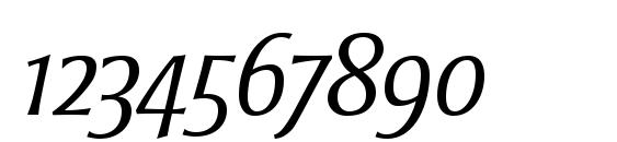 Strayhorn MT OsF Light Italic Font, Number Fonts