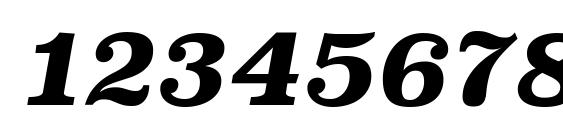 SuperclarendonRg BoldItalic Font, Number Fonts