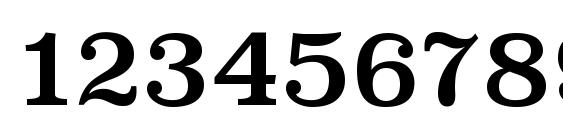 SuperclarendonRg Regular Font, Number Fonts