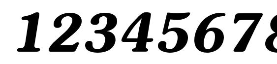 Surprizc bolditalic Font, Number Fonts