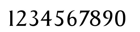 SydneySerial Light Regular Font, Number Fonts