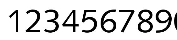 SyntaxLTStd Roman Font, Number Fonts