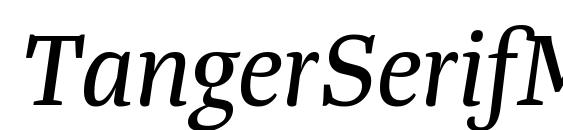 шрифт TangerSerifMedium Italic, бесплатный шрифт TangerSerifMedium Italic, предварительный просмотр шрифта TangerSerifMedium Italic